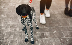 Прогноз погоды в Украине