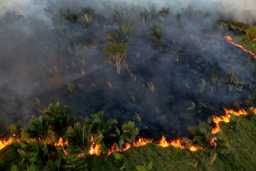 Амазонский лес_пожар