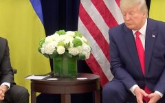 трамп_зеля