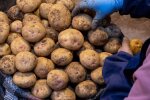 Цены на картофель / Фото: Getty Images