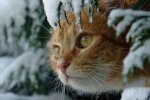 Прогноз погоды в Украине / Фото: ТСН