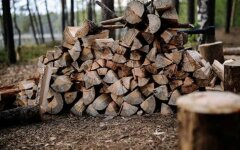 Заготовка дров в Украине