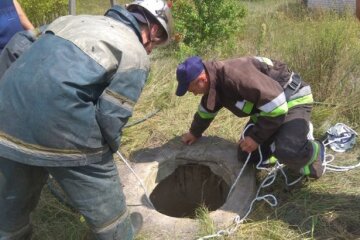 русаки колодец