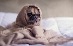 Прогноз погоды зимой / pinterest