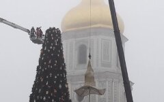 Елка, Киев, коммунальщики