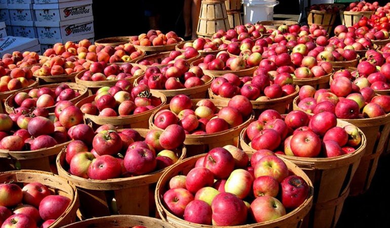 Ціни на яблука в Україні