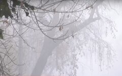 погода4