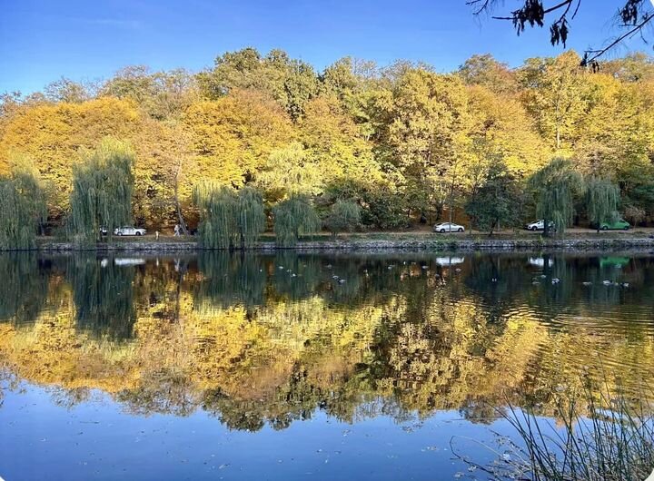 Прогноз погоди в Україні / Фото: Фейсбук Діденко