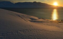 берега Арктики