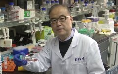 Коронавирус в Китае, сокрытие данных о COVID-19