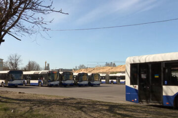 Нові автобуси у Києві, Кличку, нові маршрут, громадський транспорт києва