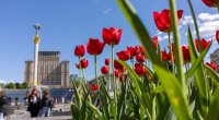 Прогноз погоди в Україні