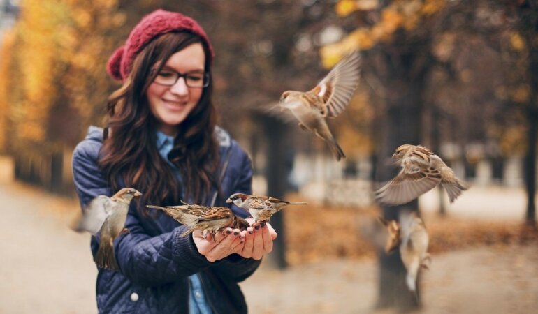 Теплая осень в Украине