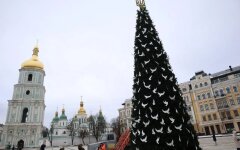 Главная елка в Киеве / Фото: Обозреватель