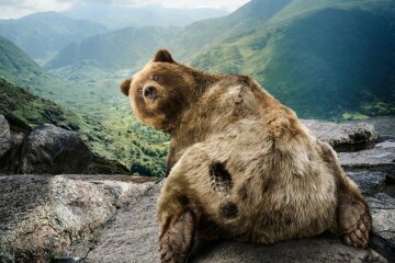 Русский медведь2