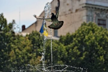 Погода в Україні / Фото: Ukrinform/Future Publishing via Getty Images