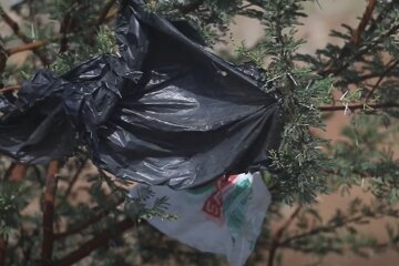 Пластиковые пакеты, цены, запрет пластиковых пакетов
