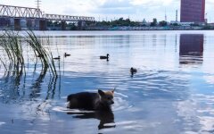 Погода в Украине