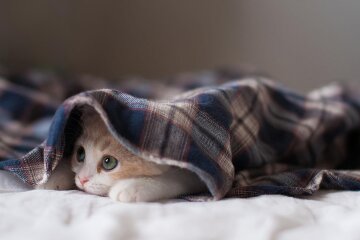 Прогноз погоды в Украине