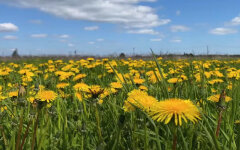 Погода в Украине, прогноз погоды, погода в апреле