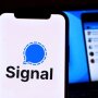 Signal