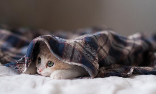 Прогноз погоди в Україні