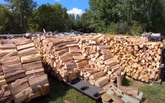 Бесплатные дрова для украинцев