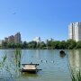 Прогноз погоды летом