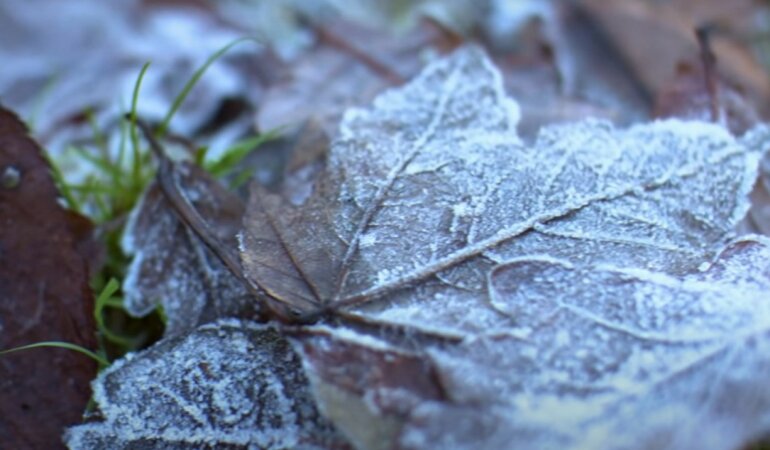 Синоптик дала прогноз погоды на начало недели