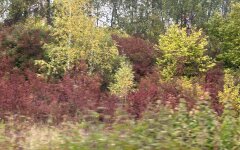 Погода осенью