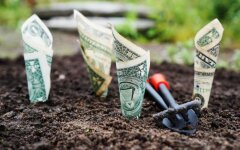 Цены на землю в Украине