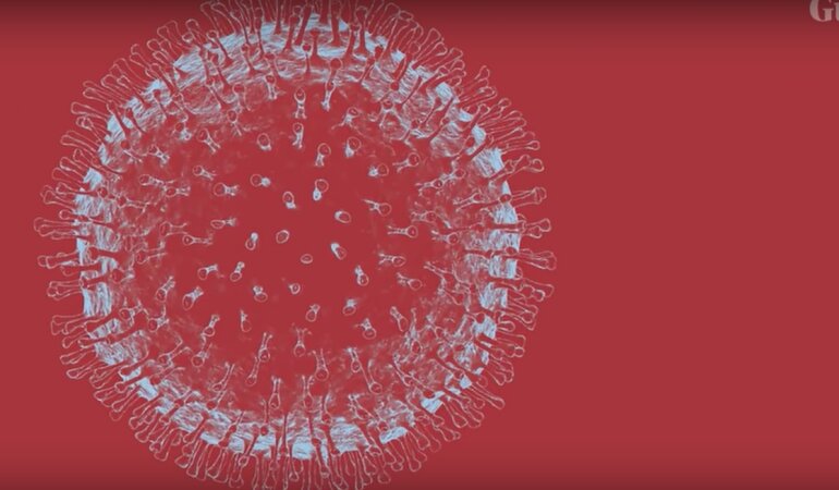 coronavirus