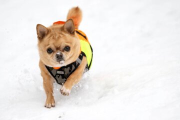 Прогноз погоди в Україні / Фото Getty Images