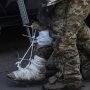 Звільнені з полону