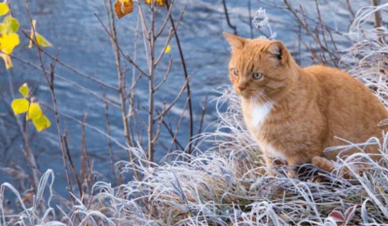 Прогноз погоди в Україні / Фото: Depositphotos