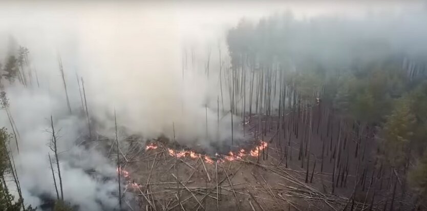 пожар в Чернобыле,тушение пожара в Чернобыле,горит лес Украина,зона отчуждения