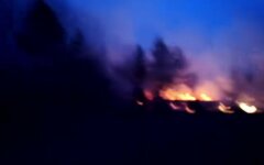 Горит лес возле Кременной