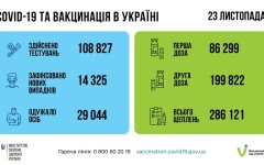 Статистика по коронавирусу на утро 24 ноября