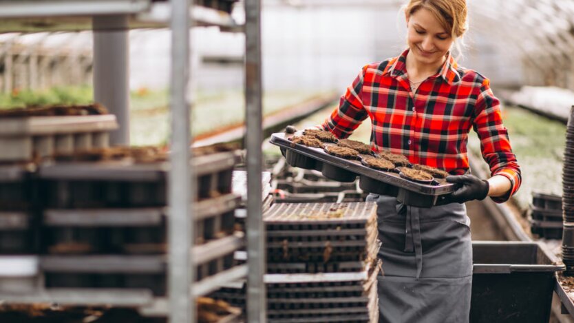 Зарплаты за границей / Фото: Freepik