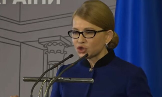 Юлия Тимошенко, Сергей Власенко, миллионные доходы