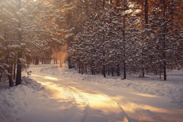 Прогноз погоди в Україні / Фото: unsplash.com