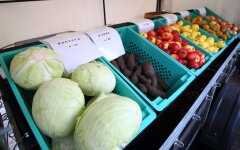Цены на овощи в Украине / Фото: РБК-Украина