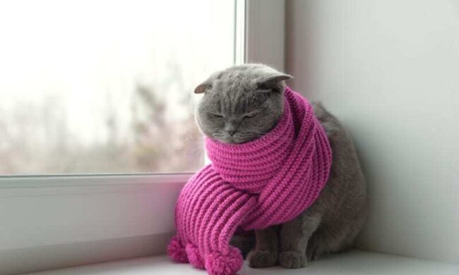 Прогноз погоды в Украине