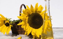 Цены на подсолнечное масло в Украине, цены на продукты