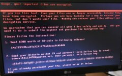 virus-petya