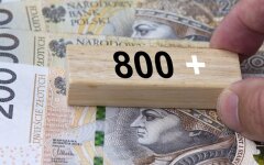 Виплати ZUS 800+