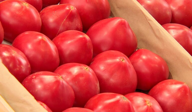 Цены на помидоры в Украине