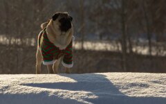 Прогноз погоды в Украине