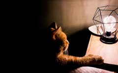 Отключение света