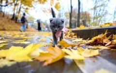 Прогноз погоды в Украине